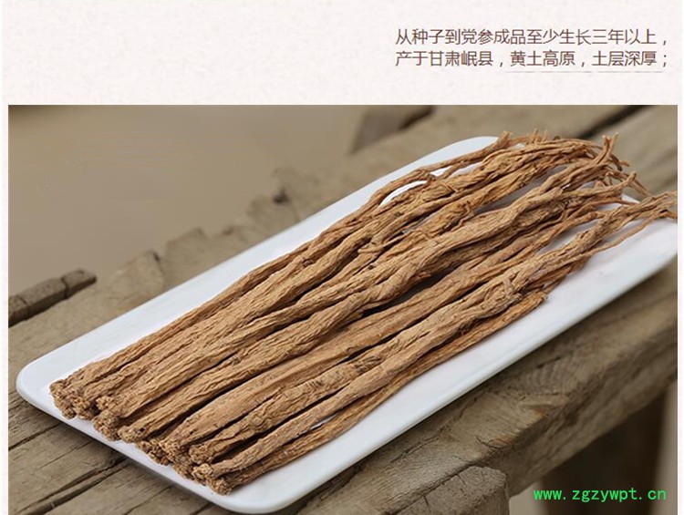 党参中条4.jpg