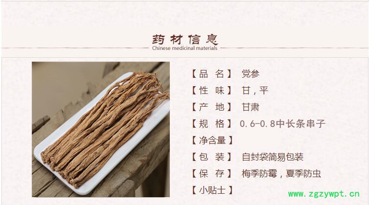党参中条1.jpg
