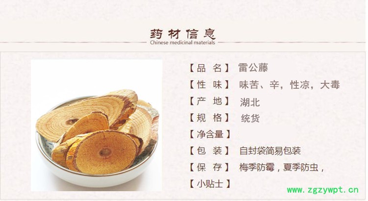雷公藤1.jpg