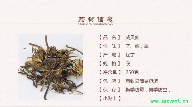 威灵仙1.jpg
