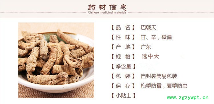 巴戟天天1.jpg