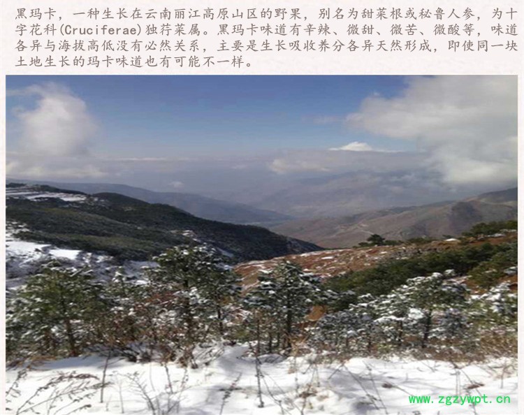 黄玛卡选片2上.jpg