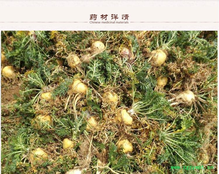 黄玛卡选片3下.jpg