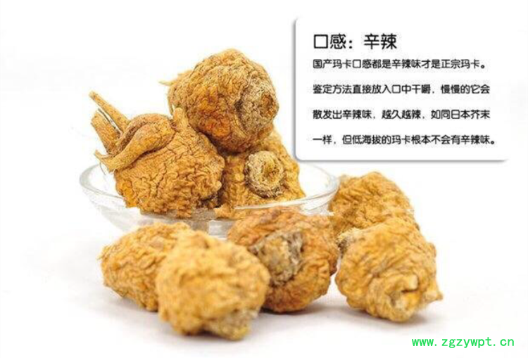 黄玛卡7.jpg
