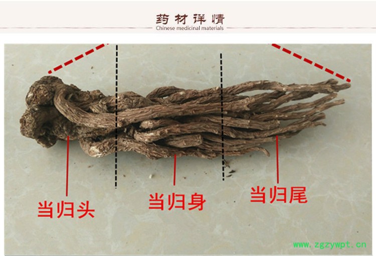 当归片0.82.jpg