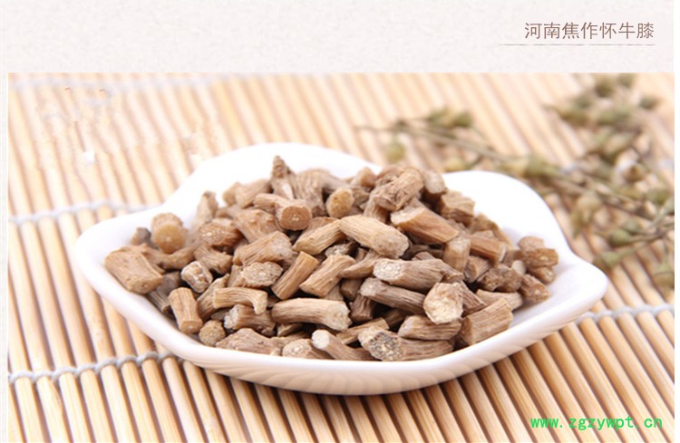 怀牛膝3.jpg