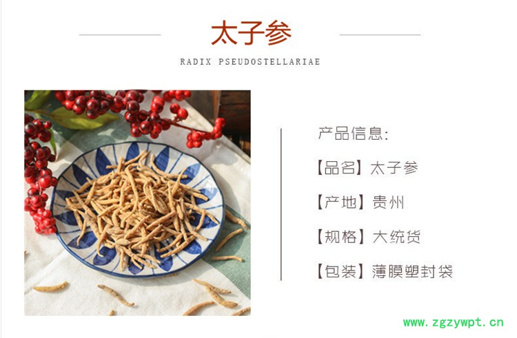 太子参.jpg