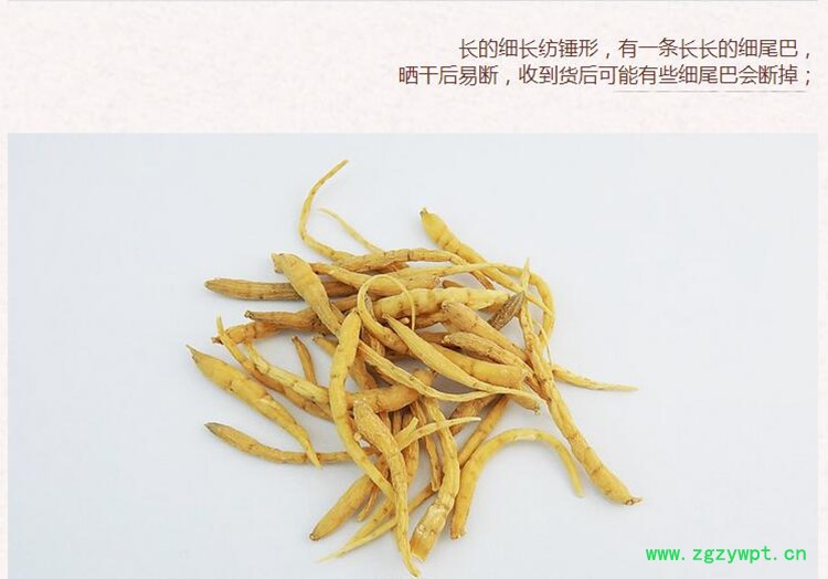 太子参5 (1).jpg