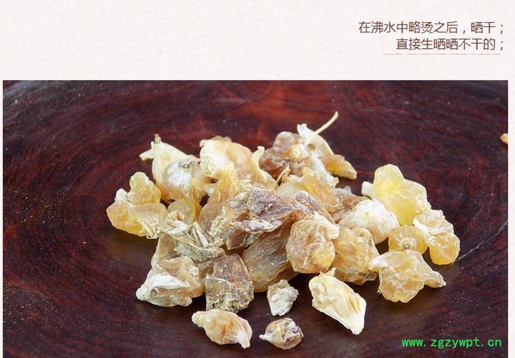 薤白4.jpg