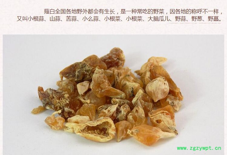 薤白3.jpg
