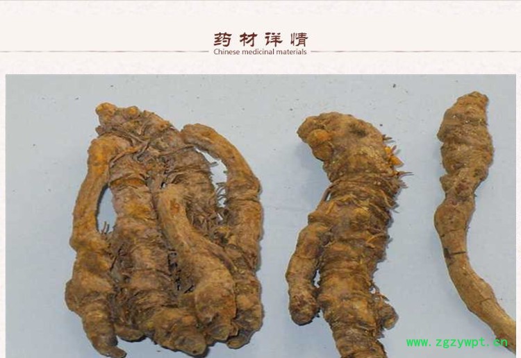黄连2.jpg