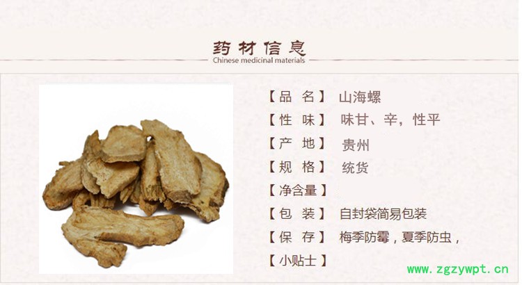 山海螺1.jpg