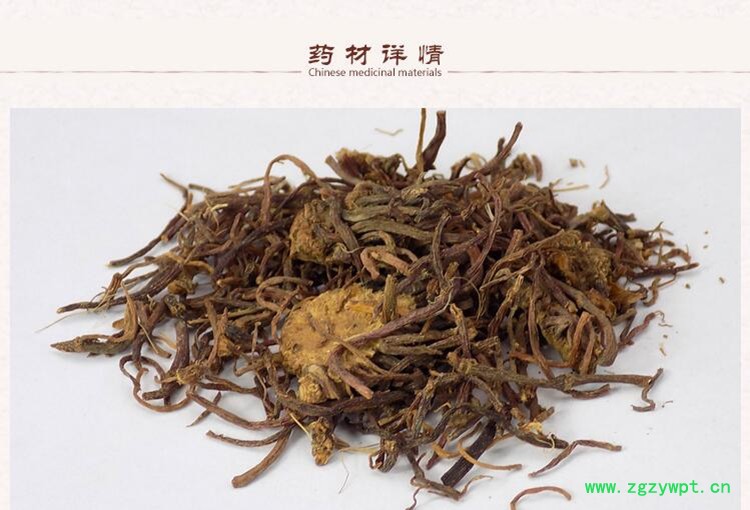 紫菀2.jpg