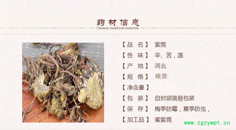 紫菀1_副本.jpg