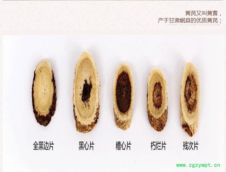 0.5黄芪1.jpg