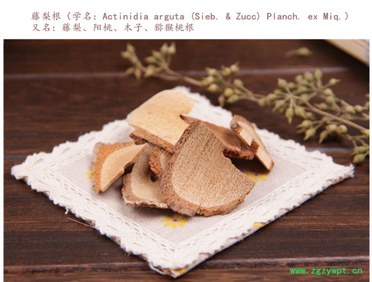藤梨根3.jpg