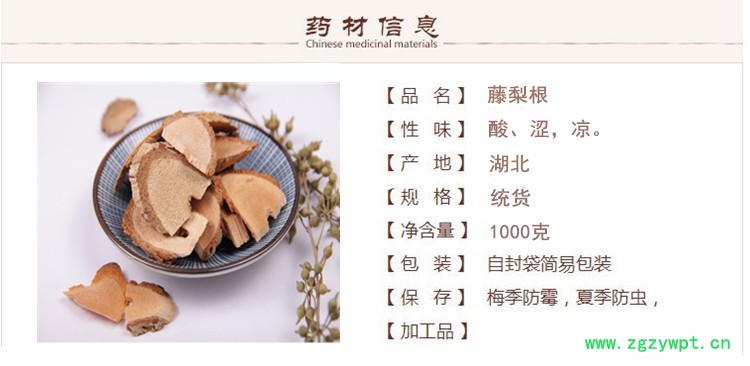 藤梨根1.jpg