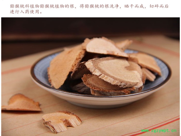 藤梨根4.jpg