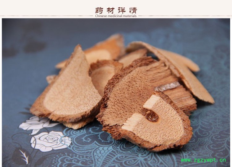 藤梨根2.jpg