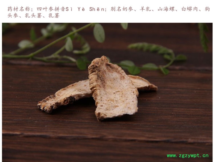 四叶参3.jpg