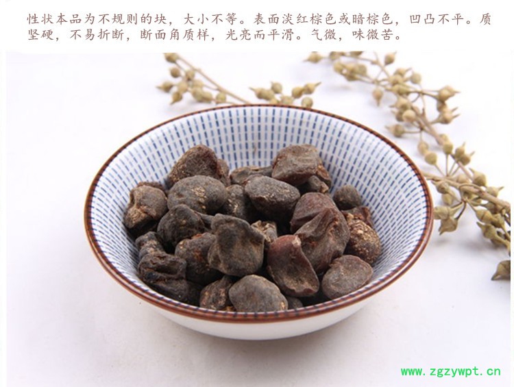 土贝母4.jpg