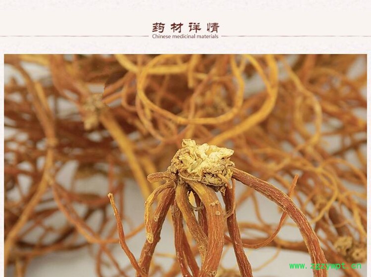 龙胆2.jpg