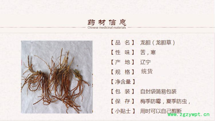 龙胆1_副本.jpg