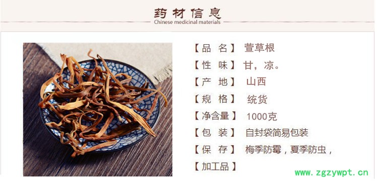 萱草根1.jpg
