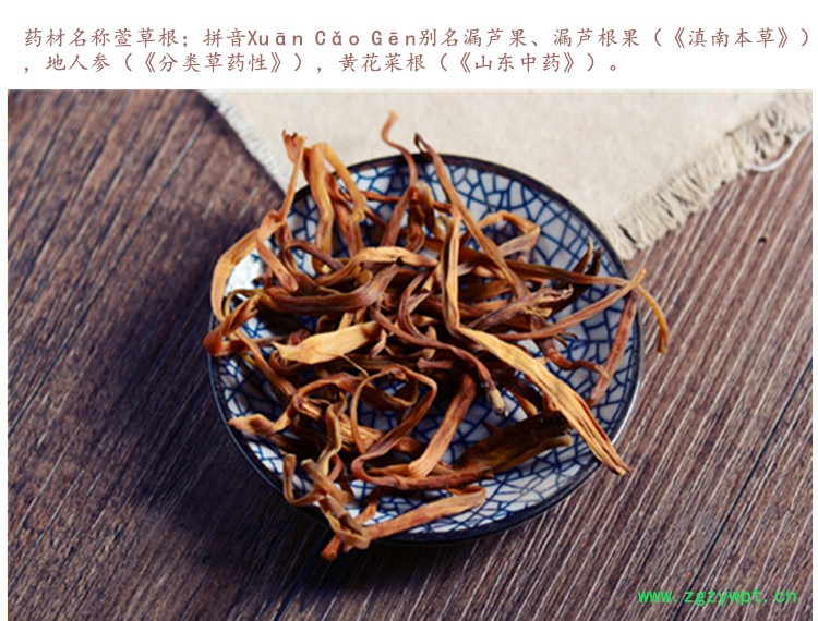 萱草根3.jpg