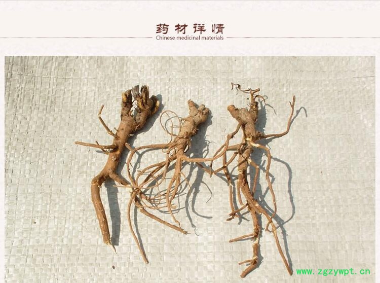 柴胡2.jpg