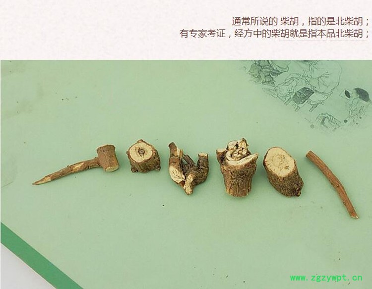 柴胡3.jpg