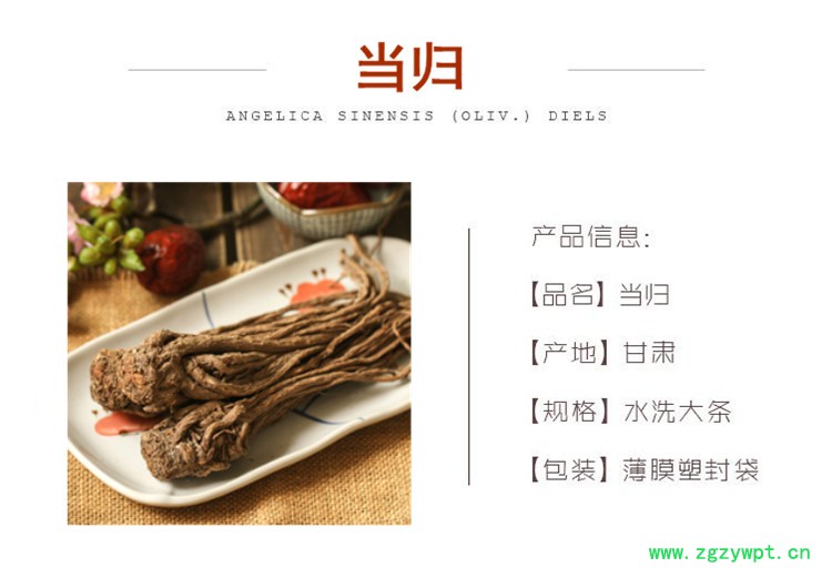 当归头.jpg