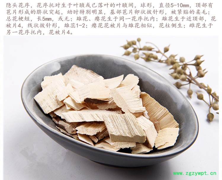 五指毛桃5.jpg