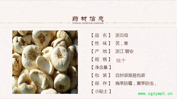 统个浙贝母1.jpg
