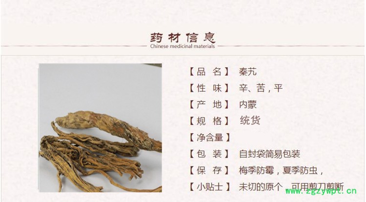 秦艽1_副本.jpg