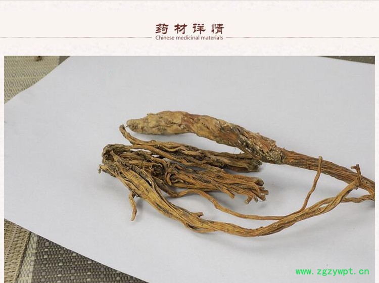 秦艽2.jpg