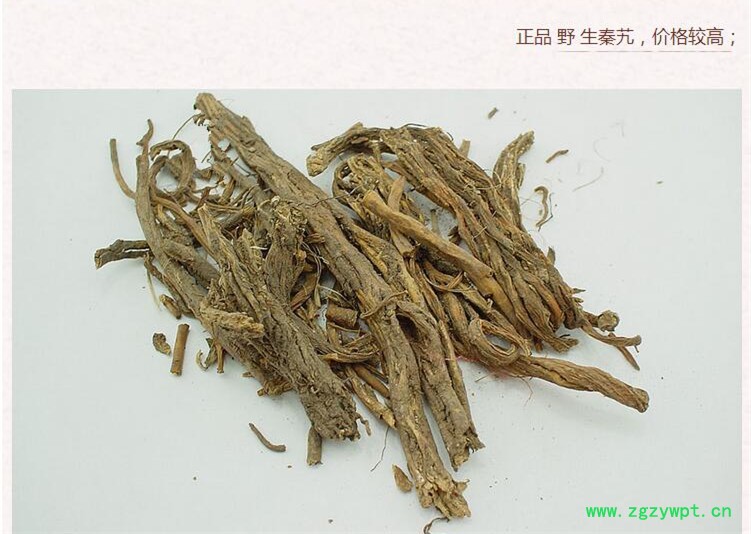 秦艽3.jpg