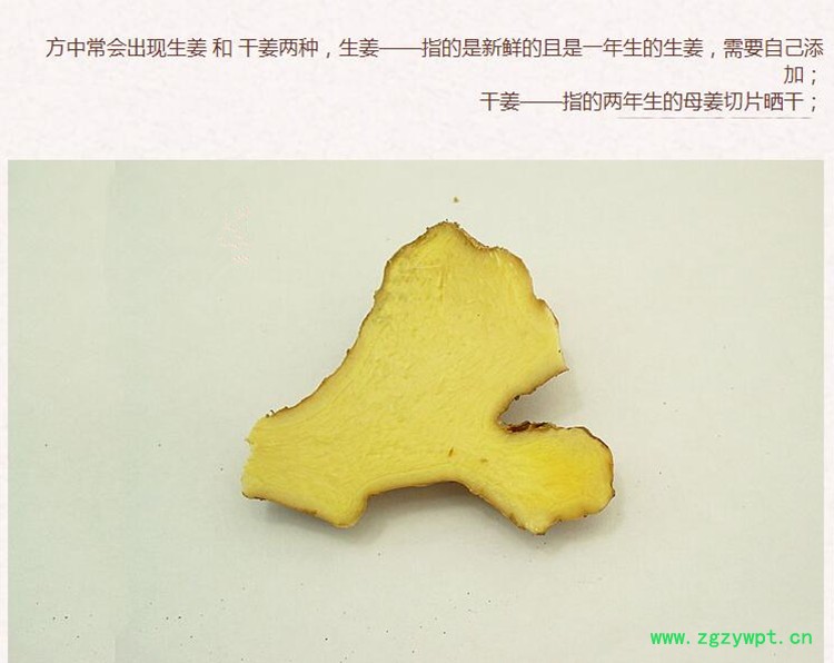 干姜2.jpg