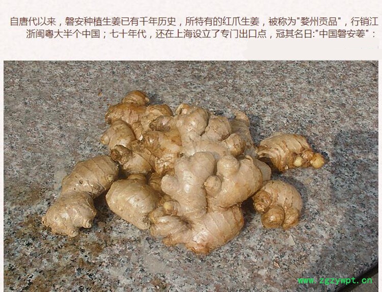 干姜3.jpg