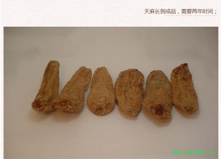 天麻选片3.jpg