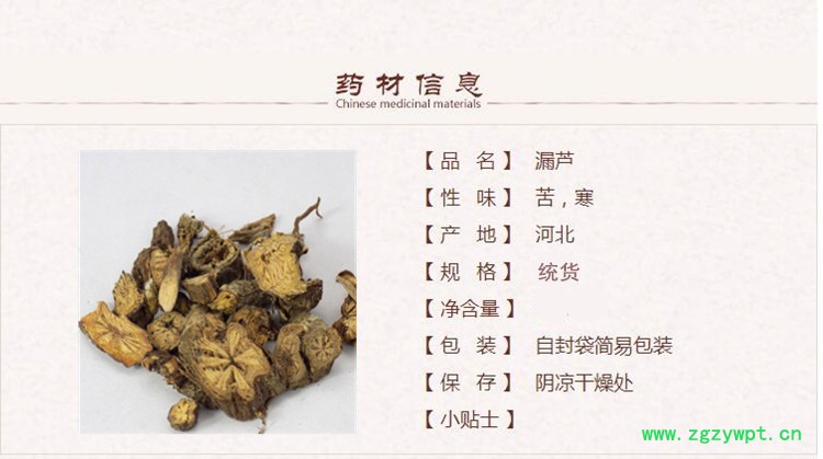 漏芦1_副本.jpg