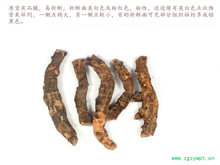 岩白菜根4.jpg