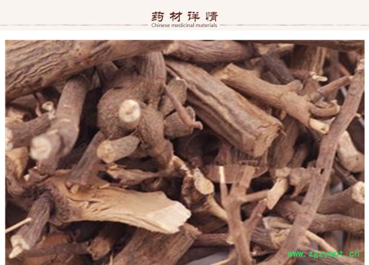 岩白菜根2.jpg
