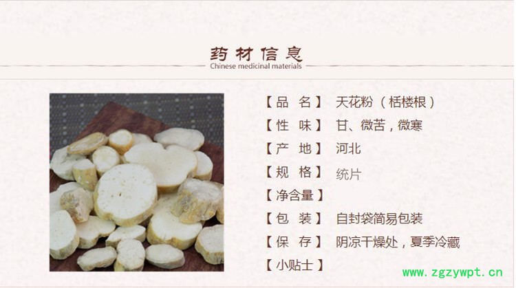 天花粉1_副本.jpg