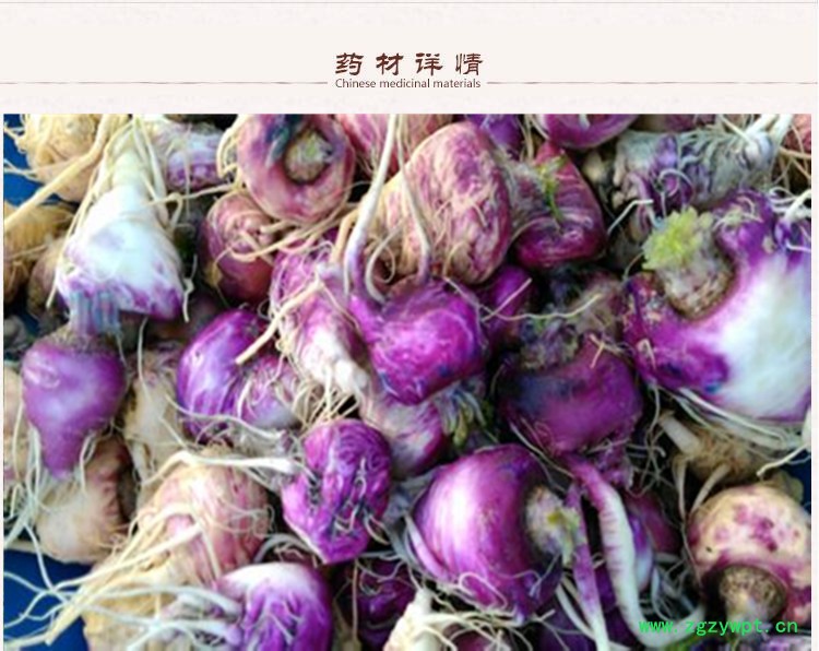 紫玛卡片3下.jpg