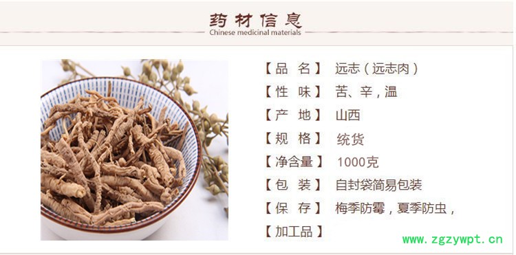 山远志1.jpg