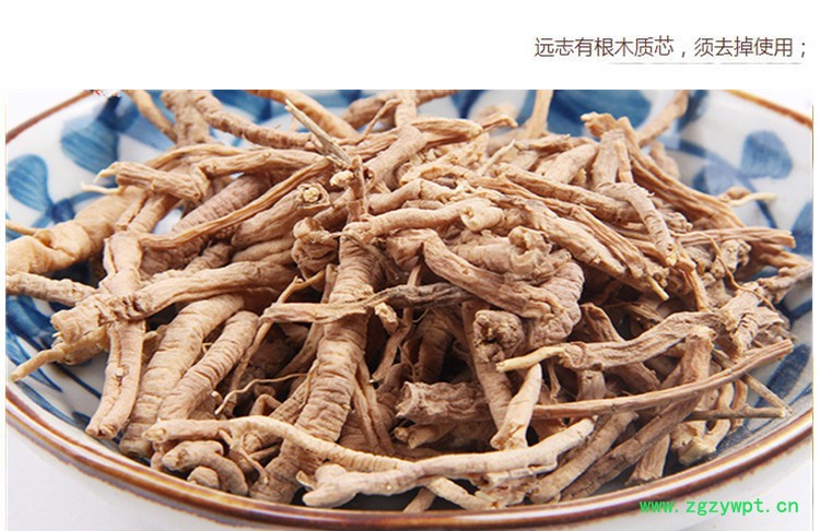 山远志4.jpg