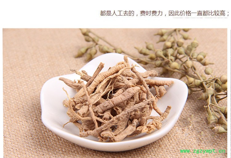 山远志5.jpg
