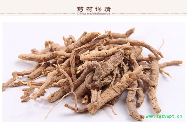 山远志3.jpg