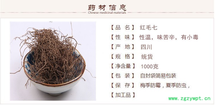 红毛七1.jpg